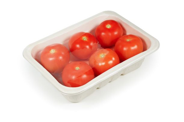 گوجه فرنگی- Tomato