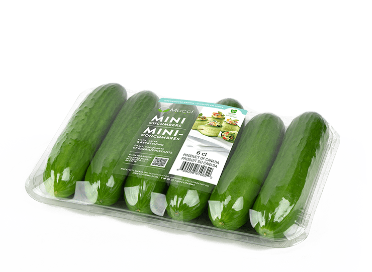 خیار - Cucumber