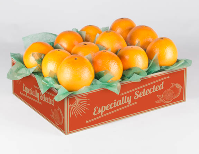 پرتقال- Oranges