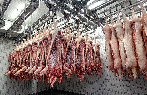 راهنمای نگهداری و ذخیره سازی گوشت در سردخانه (بخش دوم)