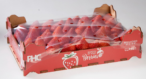 Strawberries- توت فرنگی