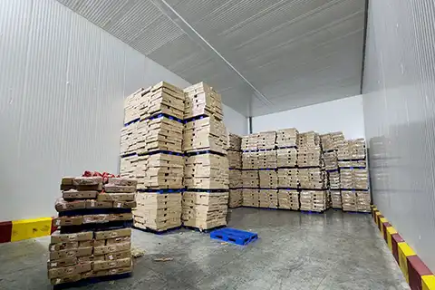 برنامه‌های تجاری سردخانه شاخص 200